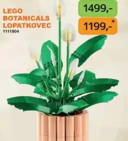Dráčik Lego botanicals lopatkovec 1111504 nabídka
