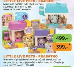 Dráčik Little Live Pets - Zajíček nabídka