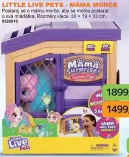 Dráčik Little Live Pets - MÁMA MORČE nabídka