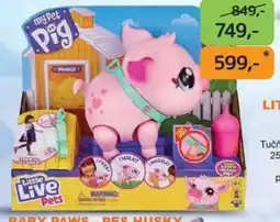 Dráčik Little Live Pets Baby Paws - Pes Husky nabídka