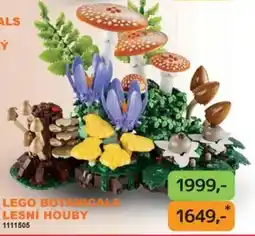 Dráčik Lego botanicals lesní houby nabídka