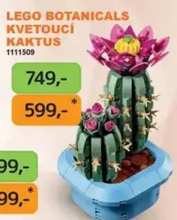 Dráčik lego botanicals kvetoucí kaktus 1111509 nabídka
