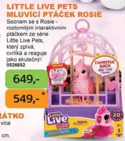 Dráčik Little Live Pets Mluvící ptáček Rosie nabídka