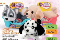 Dráčik Little Live Pets Pejsek Pepper nabídka