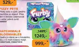 Dráčik Hatchimals bloomables nabídka