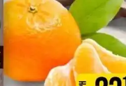 Jip Mandarinka nabídka