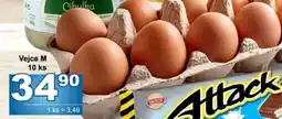 Jip Vejce M nabídka