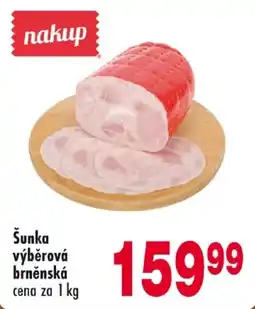 Qanto Šunka výběrová brněnská nabídka