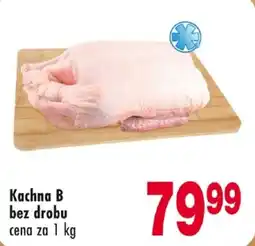 Qanto Kachna B bez drobu nabídka