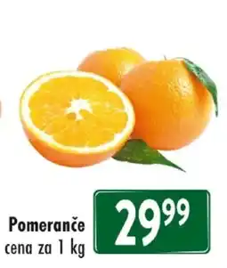 Qanto Pomeranče nabídka
