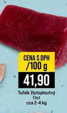 Jip Tuňák žlutoploutvý filet cca 2-4 kg 100g nabídka