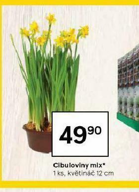 Tesco Cibuloviny mix nabídka