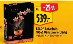 Albert LEGO Botanicals 10343 Miniaturní orchidej nabídka