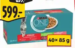 Albert Purina one kočičky pro kocky nabídka