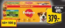 Albert Pedigree adult nabídka