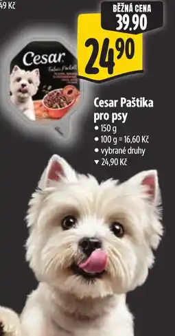 Albert Cesar Paštika pro psy nabídka