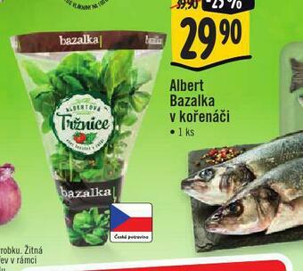 Jip Bazalka v kořenáči nabídka