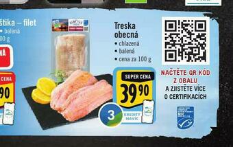 Albert Treska obecná nabídka