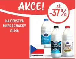 Globus Olma mléka nabídka