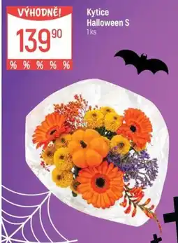 Globus Kytice Halloween S nabídka