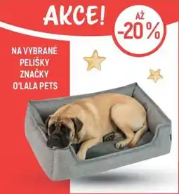 Globus O'LALA PETS pelíšky nabídka