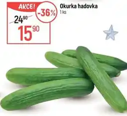 Globus Okurka hadovka nabídka
