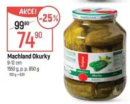 Globus Machland Okurky nabídka