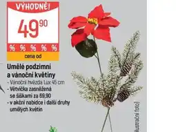 Globus Umělé podzimní a vánoční květiny nabídka