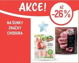 Globus Chodura šunka od kůže nabídka