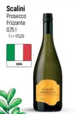 Globus Scalini Prosecco Frizzante nabídka