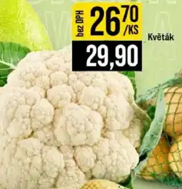 Jip Květák nabídka