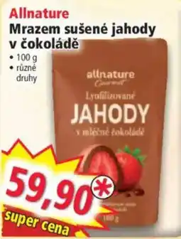 Norma Allnature mrazené sušené jahody v čokoládě nabídka