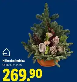 Lidl Náhrobní miska nabídka