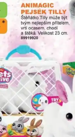 Dráčik Animagic pejsek Tilly nabídka