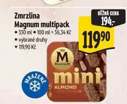 Albert Zmrzlina Magnum multipack nabídka
