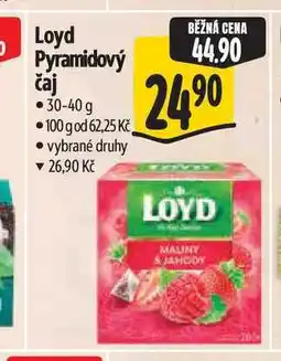 Albert Loyd Pyramidový čaj nabídka