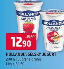 Terno HOLLANDIA SELSKÝ JOGURT 200 g vybrané druhy nabídka