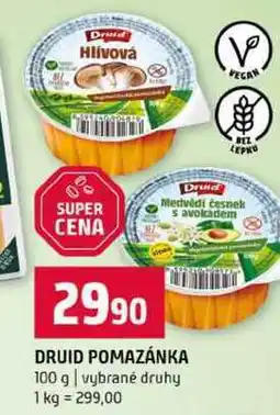 Terno DRUID POMAZÁNKA 100 g vybrané druhy nabídka