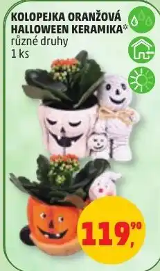 Penny Market Kolopejka oranžová halloween keramika nabídka