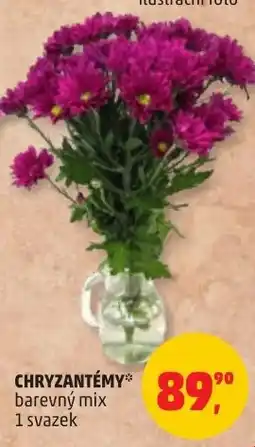 Penny Market Chryzantémy barevný mix nabídka