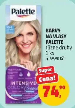 Penny Market Palette barvy na vlasy palette nabídka