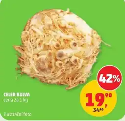 Penny Market Celer bujva nabídka