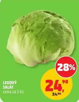 Penny Market Ledový salát nabídka
