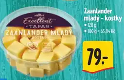 Albert Zaanlander mladý - kostky nabídka