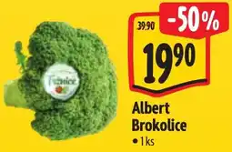 Albert Albert Brokolice nabídka
