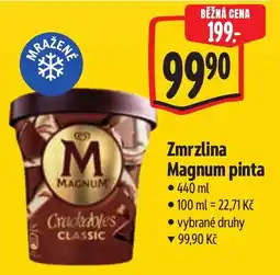 Albert Magnum zmrzlina pinta nabídka