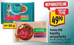 Albert Purina ONE Kapsičky pro psy/kočky nabídka
