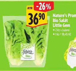 Albert Nature's Promise Bio Salát Little Gem nabídka