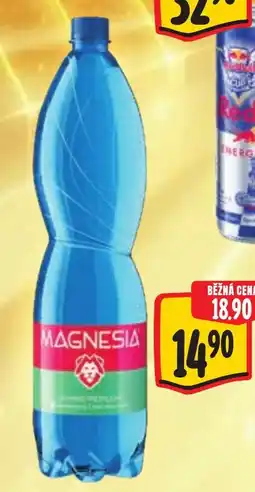Albert Magnesia nabídka