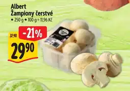 Albert Albert Žampiony čerstvé nabídka